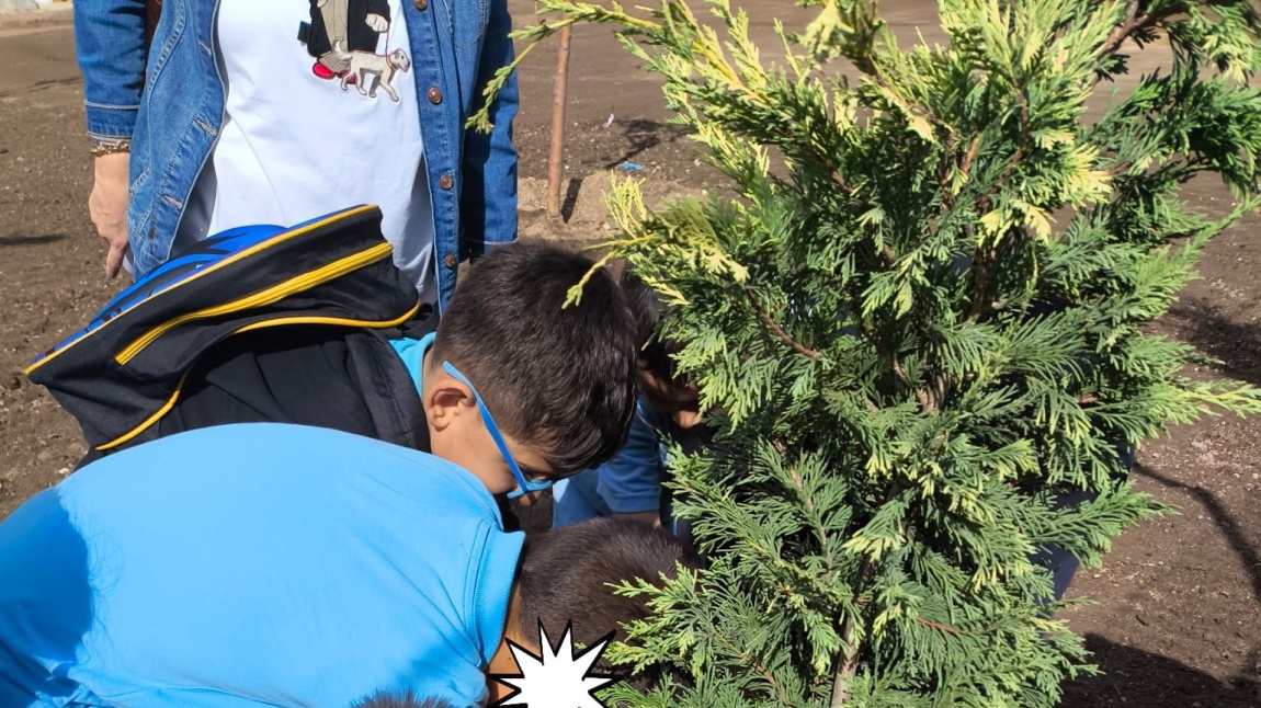 Yeşil Vatan ve ÇARE projesi kapsamında çocuklarımız Doğa temalı etkinlikler gerçekleştirdiler.